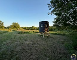 34462267
