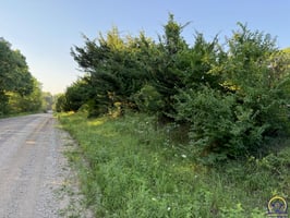 34462229