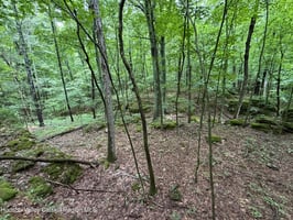34463792