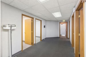 34466034