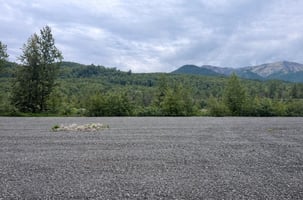 34467308