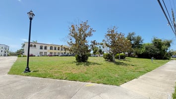 34469317