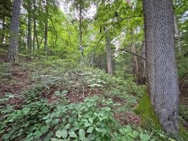34470318