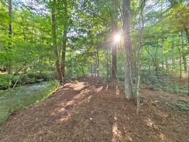 34470292