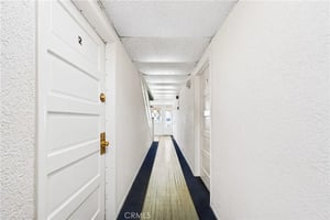 34475834