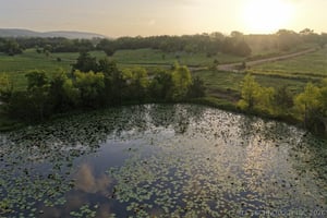 34490351