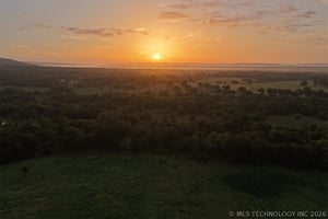 34490331