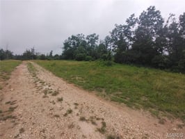 34496448