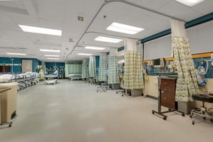 34497543