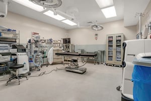 34497563