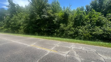 34498263