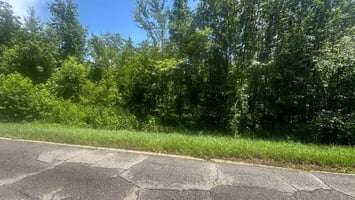34498264