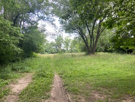 34500170
