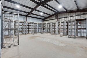 34500436