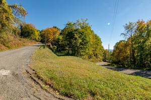 34501103