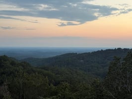 34501379