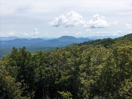 34501407