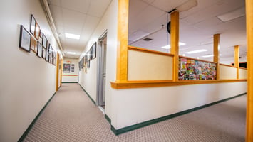 34501676