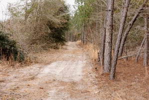 34504084