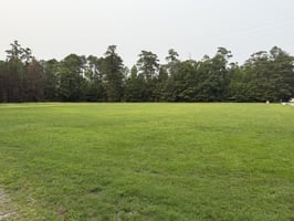 34505829