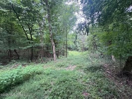 34506450