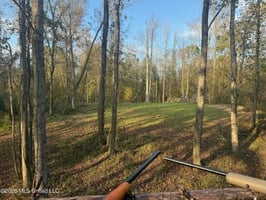 34506462