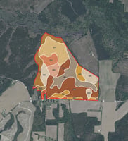 34511371