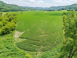 34511636