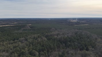 34512447