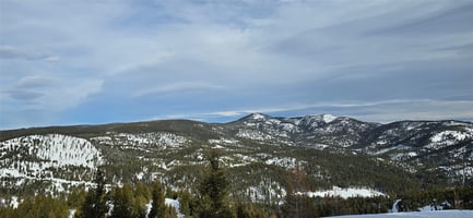 34512506