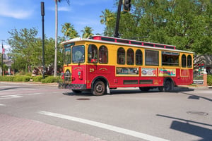 34515339