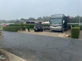 34540844