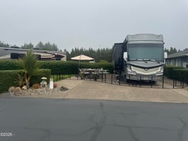 34540842
