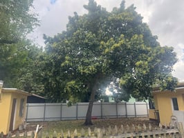 34517208