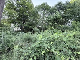 34520674
