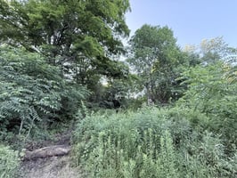 34520673