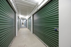 34521369