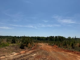 34523590