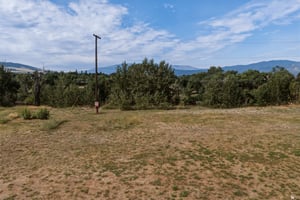 34524033