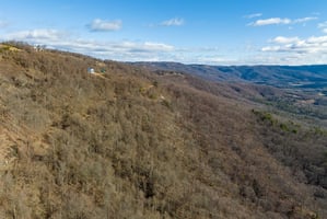 34524559