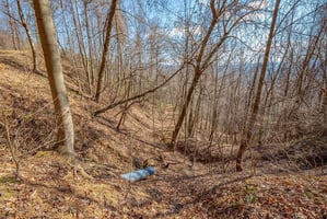 34524877