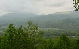 34525113
