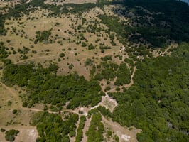 34526759