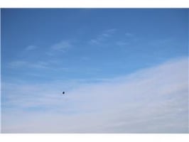 34538630