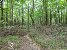 34549643
