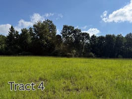 34551353