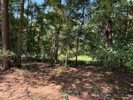 34558532