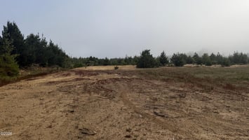 34596903