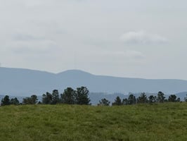 34601868