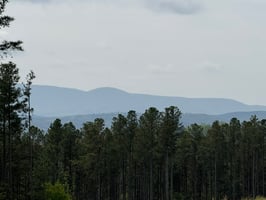34601864